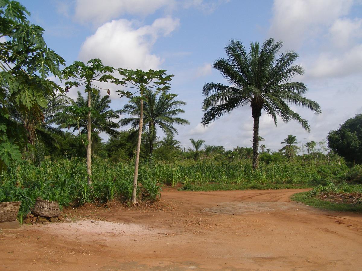 Chez Sabine Bed & Breakfast Abomey Bagian luar foto